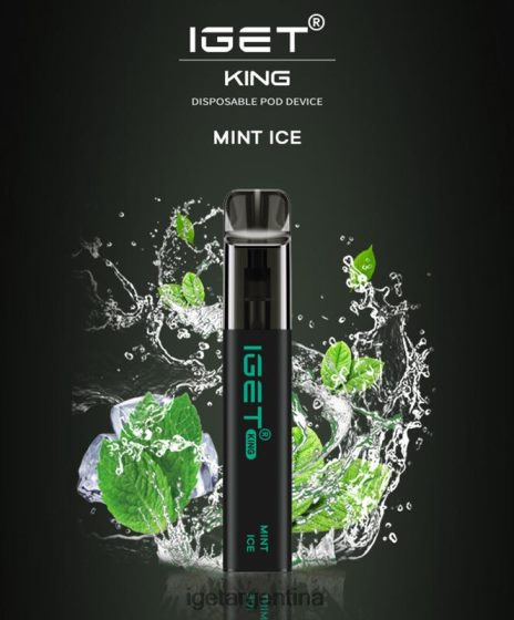 IGET Bar Online rey - 2600 inhalaciones hielo de menta J60FFH449